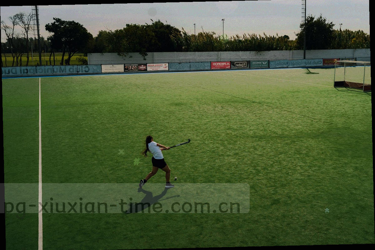 五个问答分组与等宽编号 Q01 至 Q24 排成的目录结构图